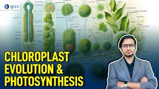 Chloroplast Evolution And Photosynthesis | Target CSIR NET Life Science June 2024 | IFAS