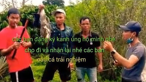 câu cá trải nghiệm  Đà Lạt