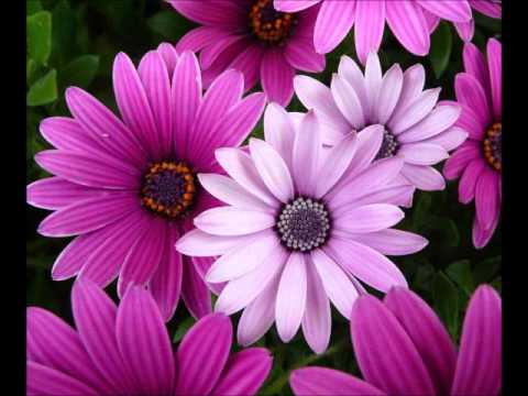 main-aisi-cheez-nahin-jo-ghabra-ke-palat-jaaonga