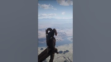 Bridge Glitch in Red Dead Redemption 2 – Fly Across the Map!