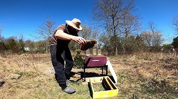 Honey Bee Queen Castle 101 - Queen Rearing using Queen Castles