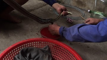 Cắt tiết rắn cho khách