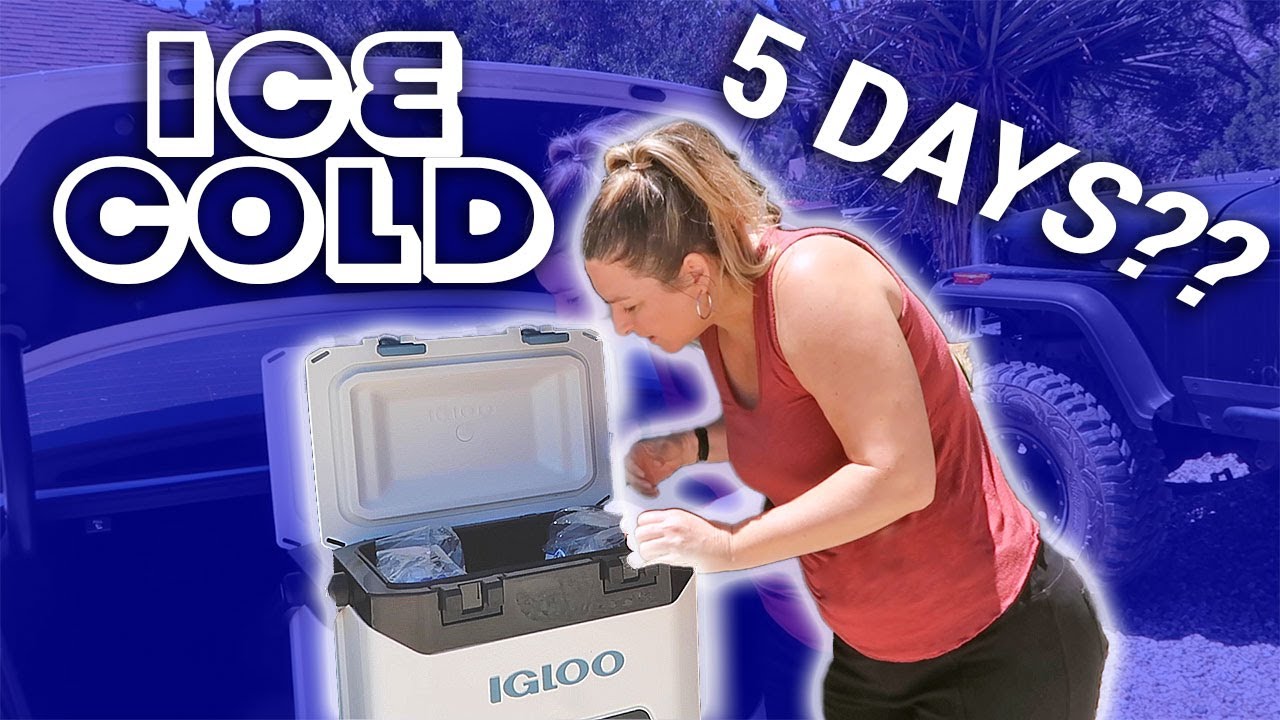 How to Keep Food Cold While Living in a Car (IGLOO BMX 25 REVIEW) // Travel Snacks