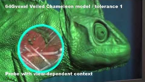 View-dependent Exploration of Massive Volumetric Models on Large Scale Light Field Displays