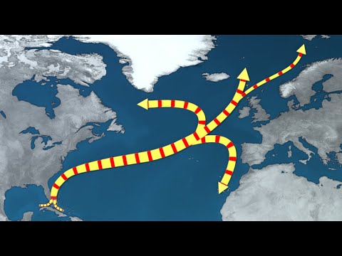 Video: Vilka strömmar utgör det globala transportbandet?