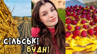 видео: ЗАГОТІВЛЯ ТЮКІВ НА ЗИМУ🌾Розпаковка покупок 🛍️Спекла торт картинка: ЗАГОТІВЛЯ ТЮКІВ НА ЗИМУ🌾Розпаковка покупок 🛍️Спекла торт