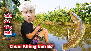 Cáo Ca - Vác Cần Tre Câu Chuối Hoa Gãy Cần || Hậu Cáo Câu Cá