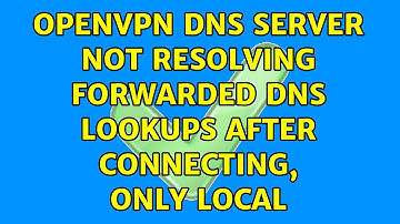 openvpn dns server not resolving forwarded DNS lookups after connecting, only local (2 Solutions!!)