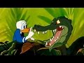 DONALD DUCK! All Cartoon Full Episodes! New English Compilation 2015!