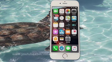 How to enable or disable Web animations in safari on iPhone 6