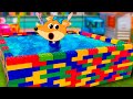 Baby Lucia, Let's Go and Swim in Water Pool. Fox Family Outdoor Adventures Cartoon for kids #958