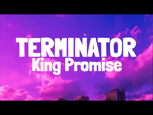 King Promise - Terminator (Lyrics) class=