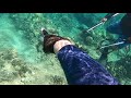 Hawaii speer fishing part 2