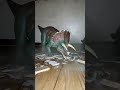Two Triceratops
