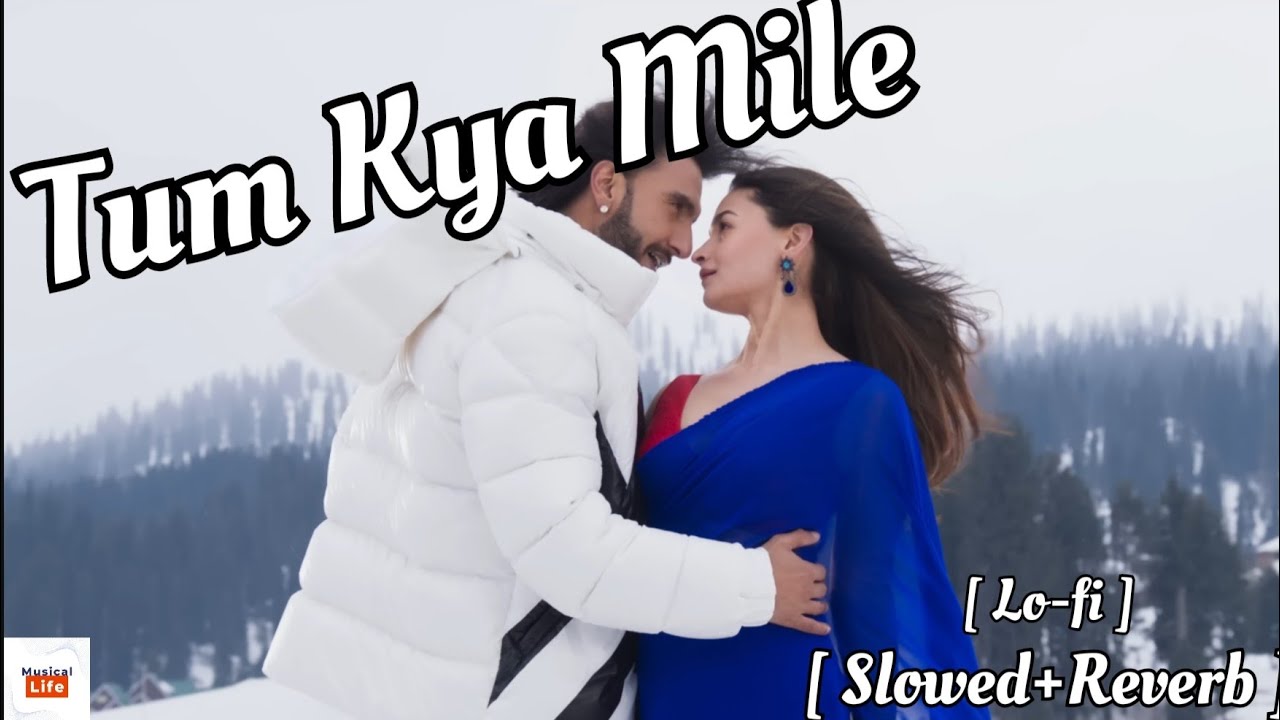 Tum Kya Mile [ Slowed+Reverb ] || Ranveer, Arijit Singh Alia B. & Shreya || [ LoFi ] || Musical Life