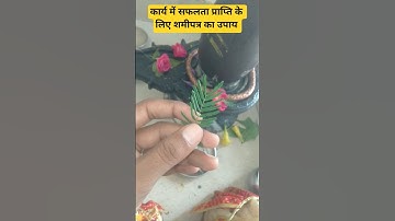 कार्य में सफलता प्राप्ति के लिए शमीपत्र का उपाय। प्रदीप मिश्रा उपाय।#upay #katha #shortsvideo #new