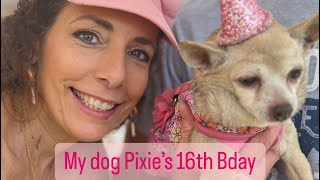 My dog 16th birthday Party #dogparty #VanlifeWithDogs #DogEntertainment by Chasing the Gypsy Moon 85 views 1 year ago 9 minutes, 51 seconds