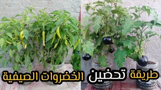 (طريقة تحضين الخضروات الصيفية) الحلقة الثانية من سلسلة (زراعة الخضروات المنزلية) ?? ?