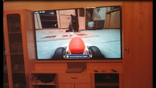 Mario Kart Live Home Circuit On & Off by Nymphelita 1,035 views 3 years ago 3 minutes, 32 seconds