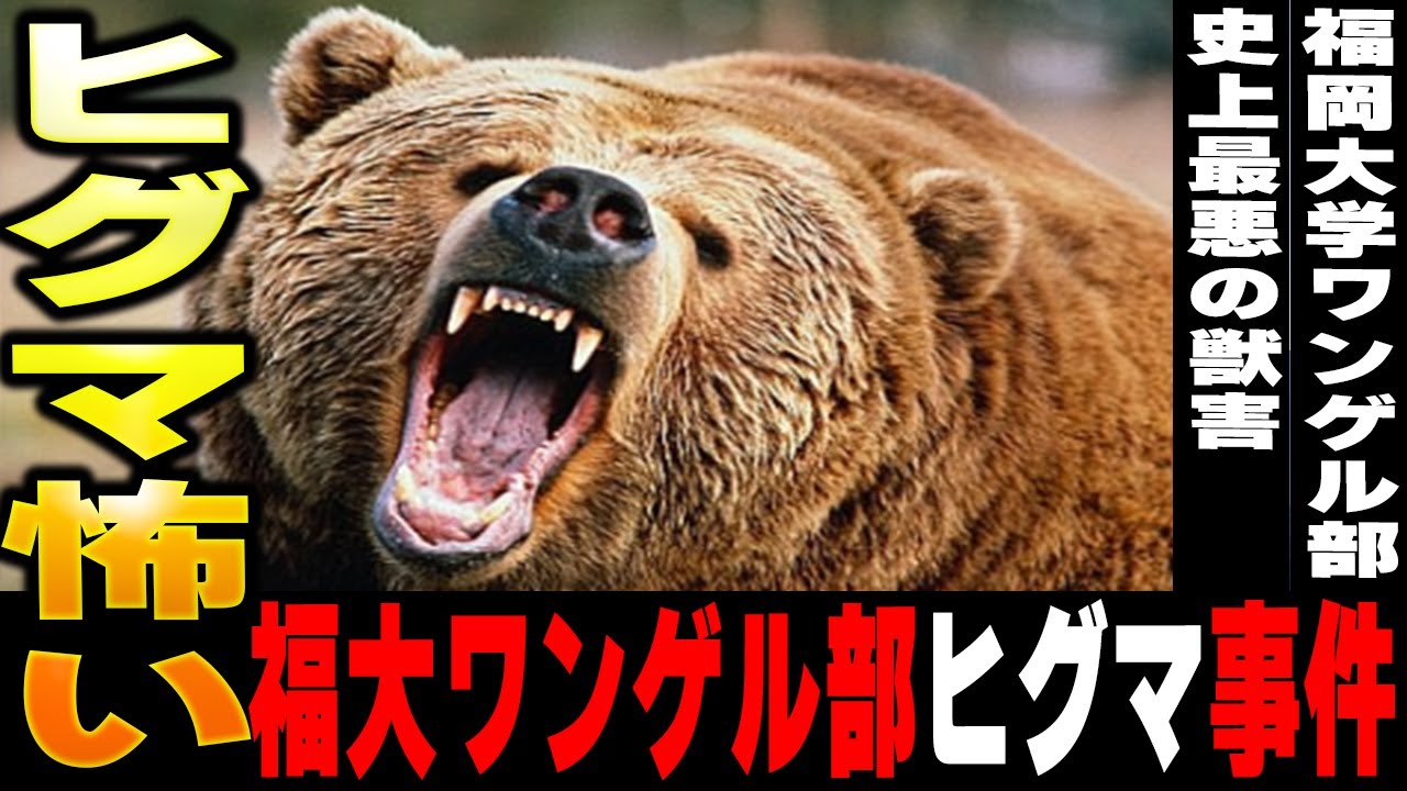 福岡 大学 ワンダー フォーゲル 部 ヒグマ 事件