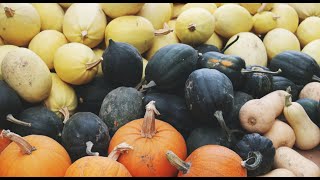 Squash Nutrition & Activities - Elementary Physical Health and Wellness | Let's Learn GA!