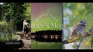 Slow Living in the Pacific Northwest | Tending to my garden | Nature's Wonder & Beauty | silent vlog
