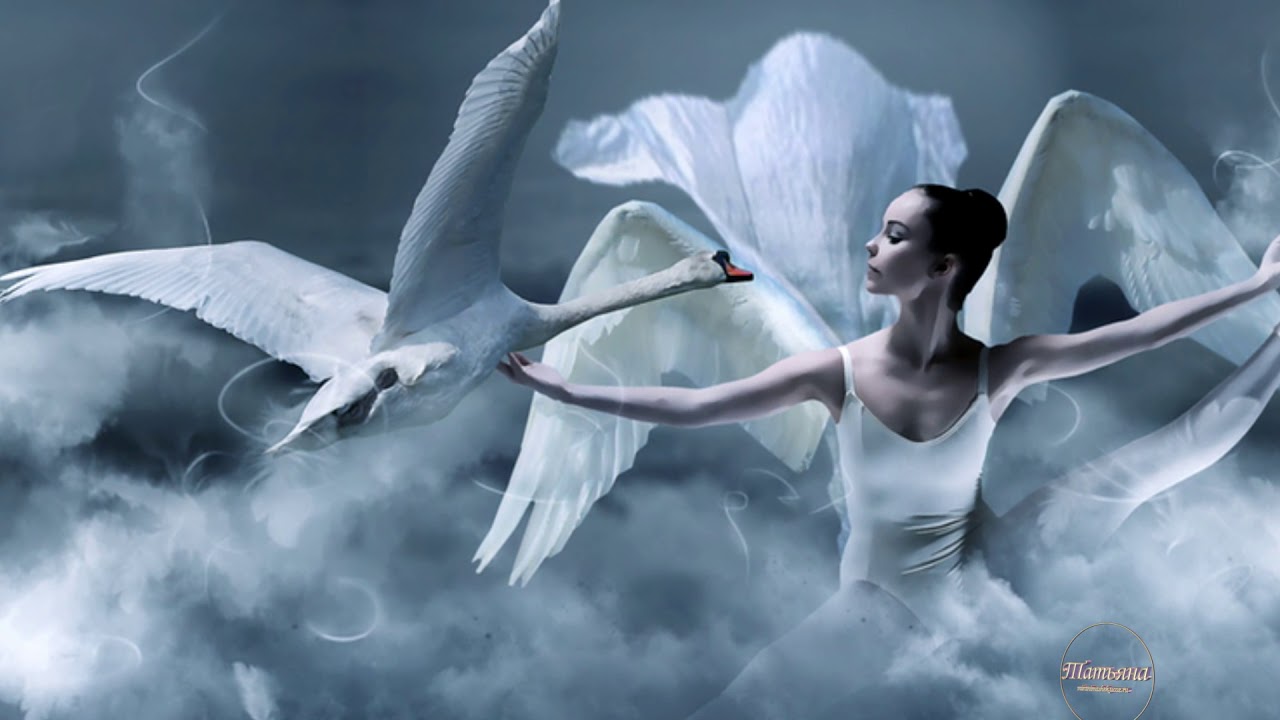Песня лебедушку выкликал. Женщина лебедь. Белый лебедь летал. Летящий лебедь арт. Парящий лебедь.