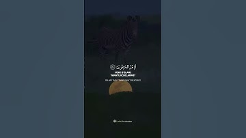 تلاوة خاشعة نادرة الشيخ محمد اللحيدان ﴿ أَمْ خُلِقُوا مِنْ غَيْرِ شَيْءٍ أَمْ هُمُ الْخَالِقُونَ ﴾