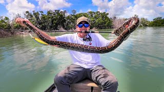 FISHING for MONSTER INVASIVE PYTHONS 