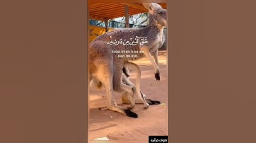 هذا خلق الله | القارئ #اسلام_صبحي #القرآن_الكريم