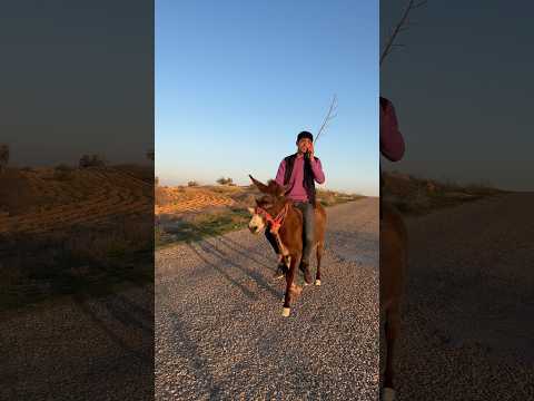 اغبي انسان ممكن تشوفوا نزار الحموي Shorts