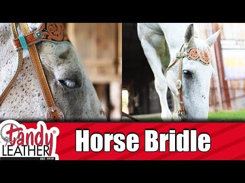 Understanding Bitless Bridles-Connect With Your Horse On Another Level!