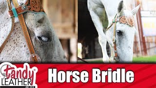 Bridle DIY