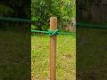 Survival Knot Technique Everyone Needs ✅💯 #shorts #lifehacks #viral