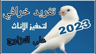 تغريد طائر الكناري ولا اروع | 2023 | للتزاوج وتحفيز الإناث