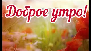 Доброе утро