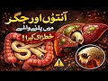 آنتوں اور جگر میں پلنے والے  خطرناک کیڑا   یہ سور اور  کتے کے جسم  میں پایا جاتا 30