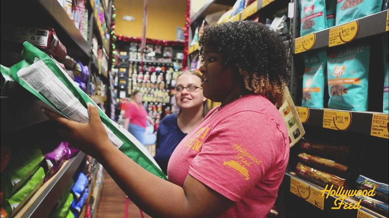 Hollywood Feed Newsweek Award YouTube