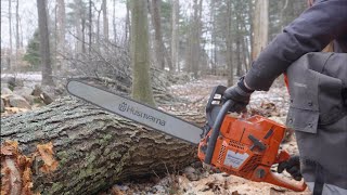 Micro Forestry: UTV, Chainsaw, Grapple and Winch