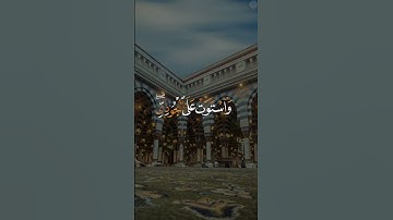 #تلاوات #تلاوات_خاشعة #تلاوة #تلاوة_خاشعة #القرآن #القرآن_الكريم #quran #القارئ #اسلام_صبحي