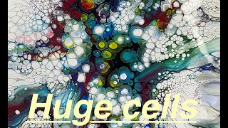 77# Many many cells ~fluidart ~Pouringtechniqe ~pouring acrylic