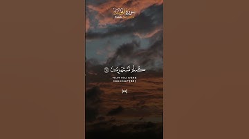 - تلاوة خاشعة للشيخ ياسر الدوسري من  سورة التوبة ( قل أباللّٰه وءايٰته ورسوله كنتم تستهزءون ) 🌹