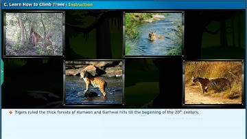 Learn How to Climb Trees, Class 7 English | Digital Teacher