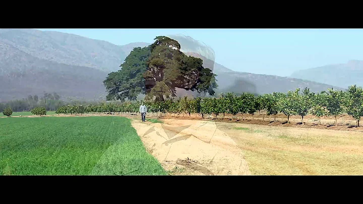 Pieter de Jager - Psalm 65