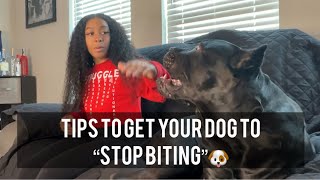 Tips To Get Your Dog To Stop Biting. #canecorso