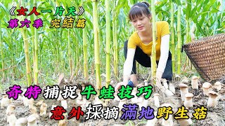 REP：一口氣看完，奇特捕捉牛蛙技巧，意外採摘滿地野生菇《女人一片天》第六季