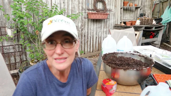 My secret weapon to seed starting!