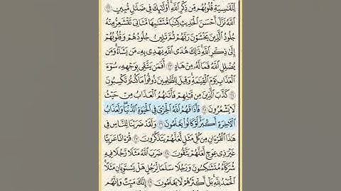 القرآن الكريم سورة الزمر من الايه الكريمه 22 إلى الآية الكريمة 40 محمد ايوب