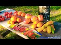 Сезон помидора 2018г/ Мой отзыв о урожайности 11 сортов и 1 гибрида/ #урожай #томаты #огород #tomato