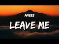 Anees  leave me lyrics i dont like the person that i am when i hurt you